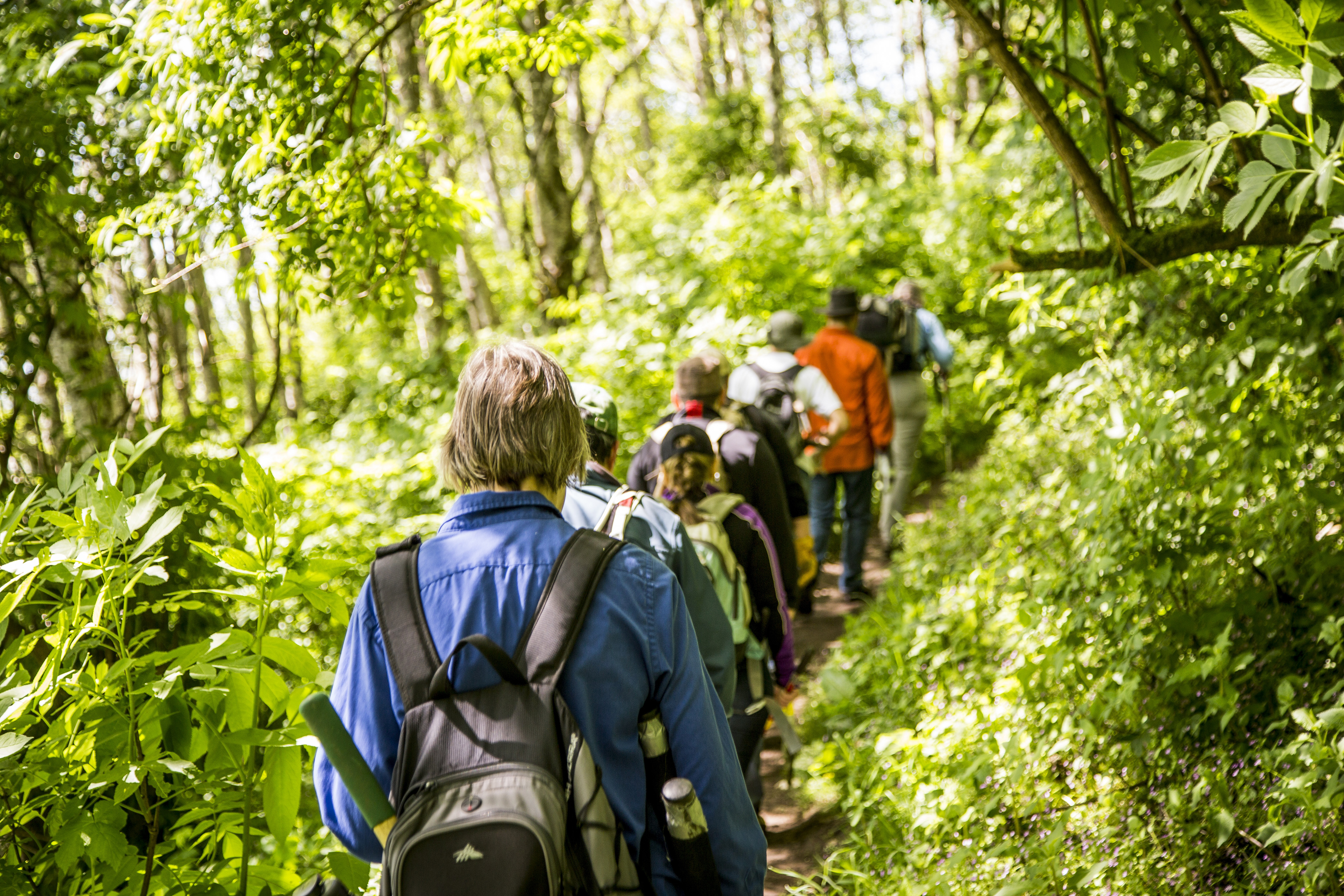 A small group of adults walking together on a wooded trail